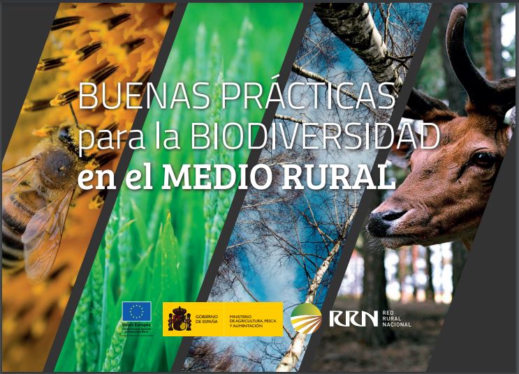 Boas prácticas para a biodiversidade no medio ambiente