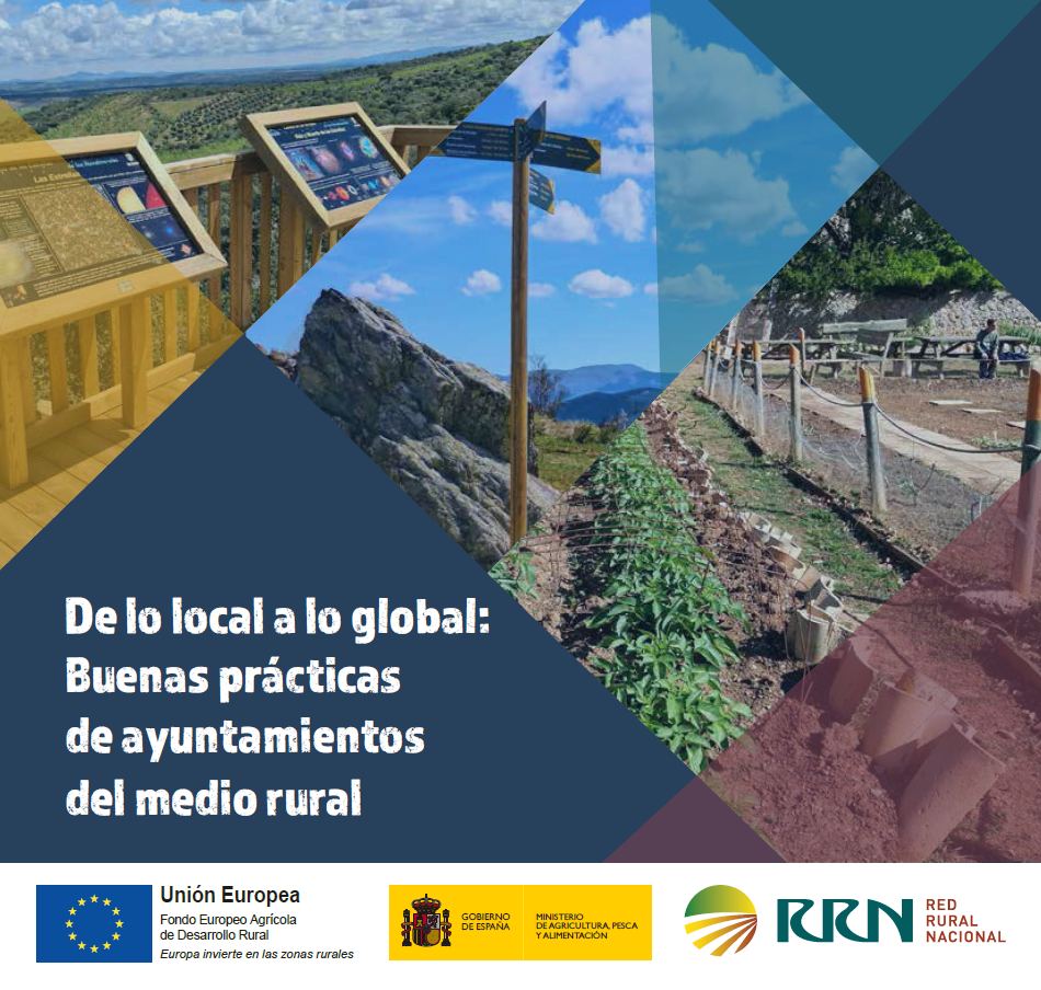 "From Local to Global: Best Practices of Rural Municipalities" dokumentuaren azala