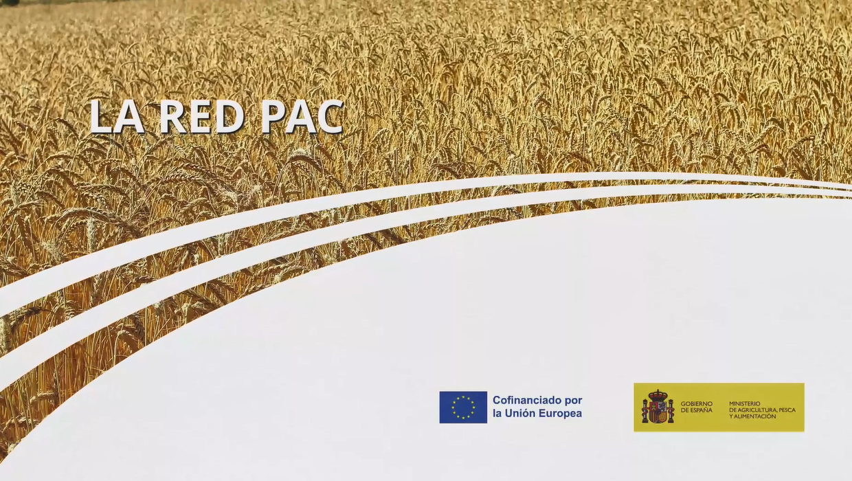 What is the PAC Network? - VIDEO