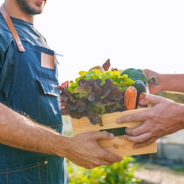 Calidad y cadena alimentaria